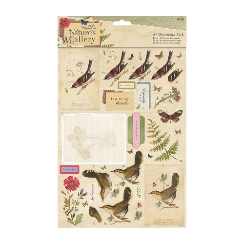 Docrafts: Nature's Gallery A4 Decoupage Pack - Collage (PMA 169121)