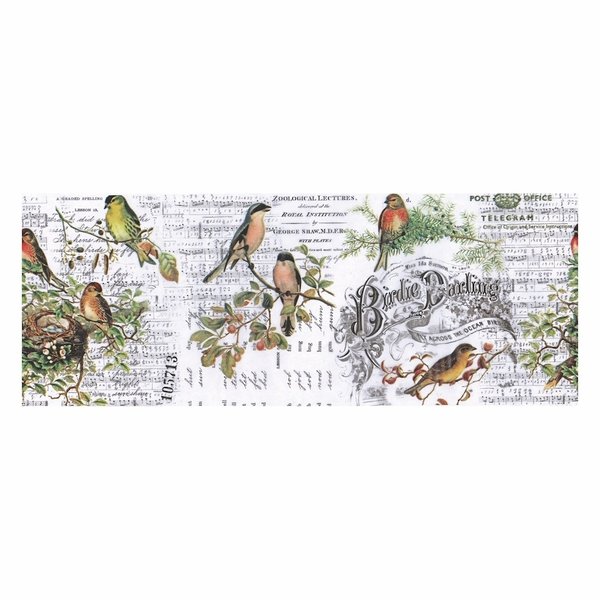 Idea-ology Tim Holtz Collage Paper Aviary (6yards) (TH93706)